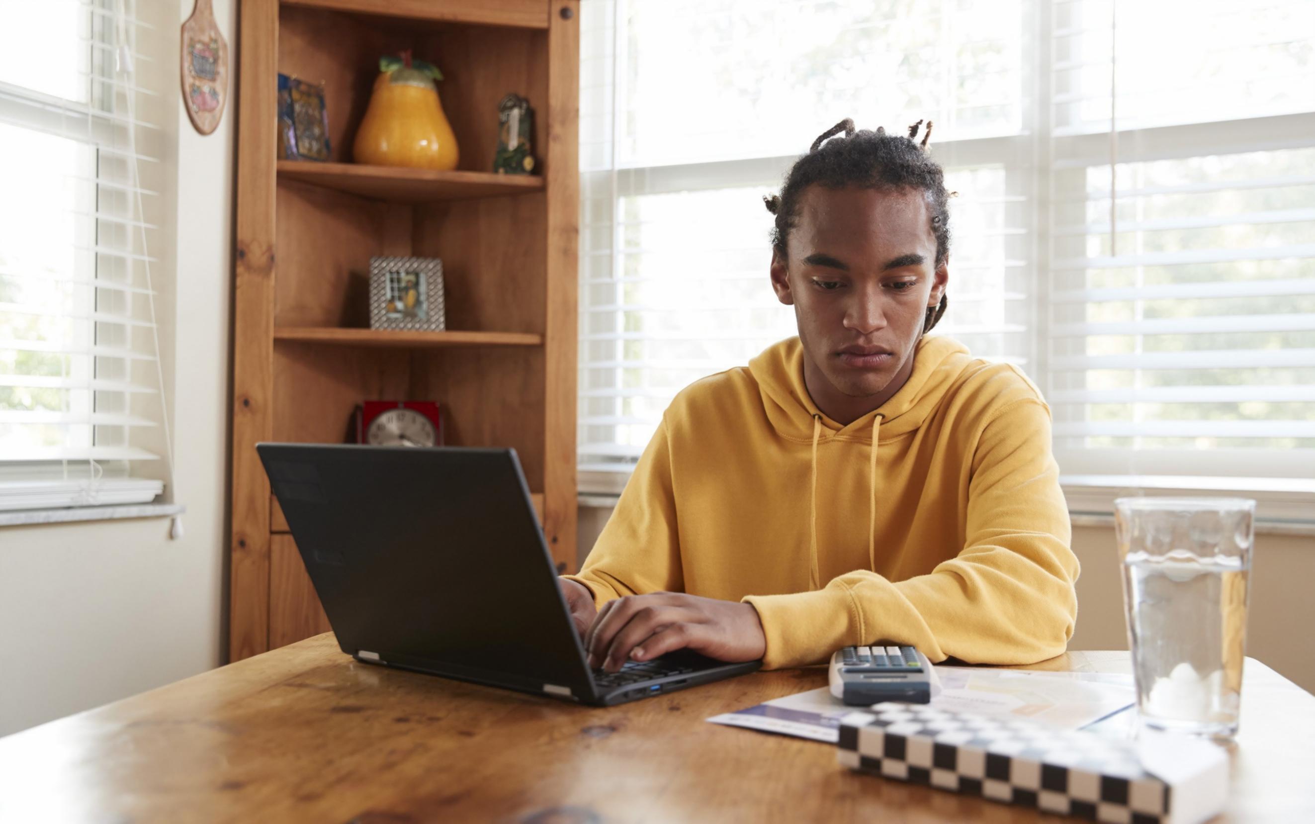 Kreative Entwicklung durch Zelaranopos Webinare